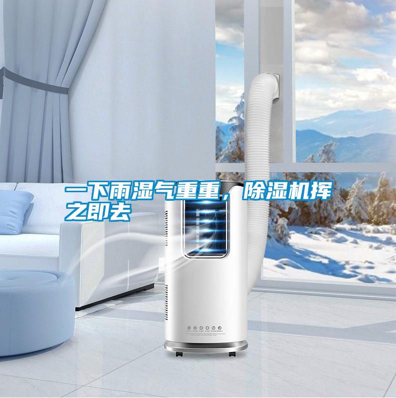 一下雨濕氣重重，除濕機揮之即去