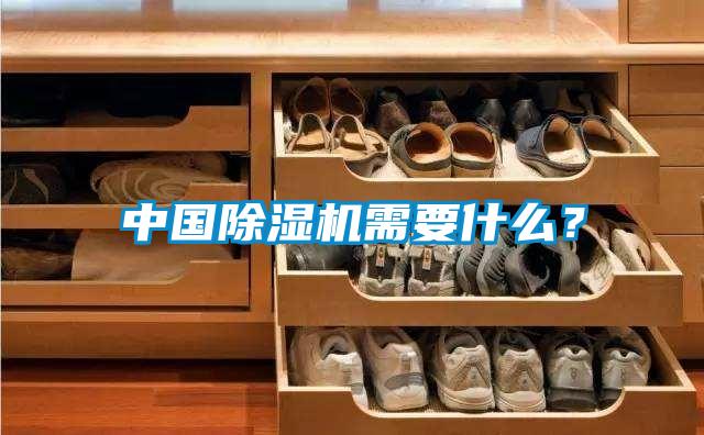 中國除濕機(jī)需要什么？