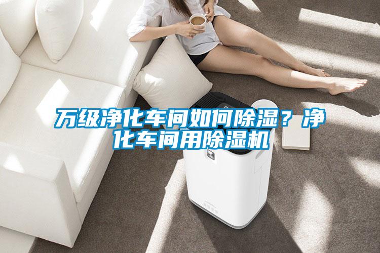 萬級凈化車間如何除濕？凈化車間用除濕機