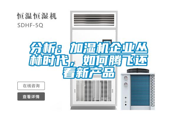 分析：加濕機企業叢林時代，如何騰飛還看新產品