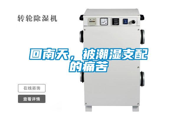 回南天，被潮濕支配的痛苦