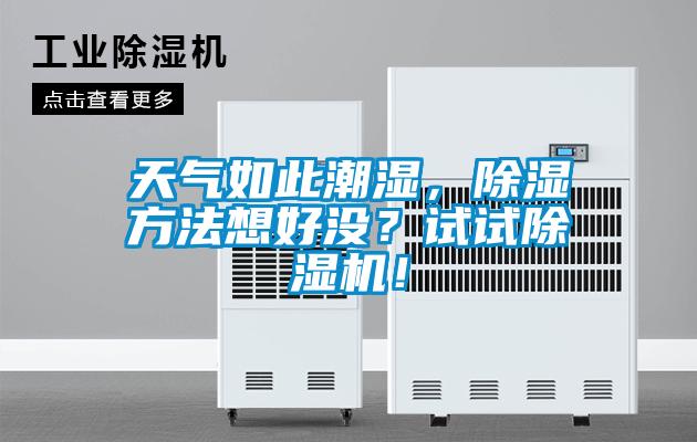 天氣如此潮濕，除濕方法想好沒？試試除濕機(jī)！