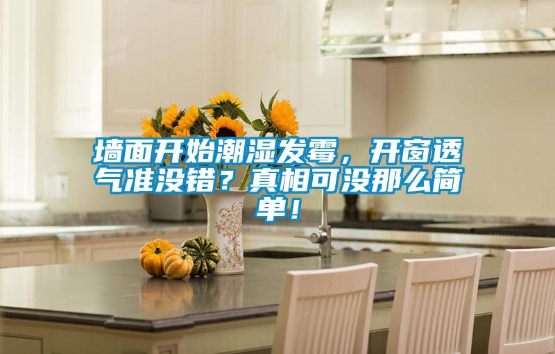 墻面開始潮濕發霉，開窗透氣準沒錯？真相可沒那么簡單！