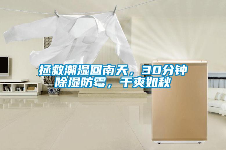 拯救潮濕回南天，30分鐘除濕防霉，干爽如秋