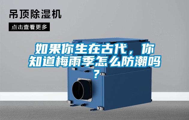 如果你生在古代，你知道梅雨季怎么防潮嗎？