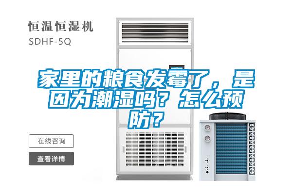 家里的糧食發(fā)霉了,是因為潮濕嗎?怎么預(yù)防?