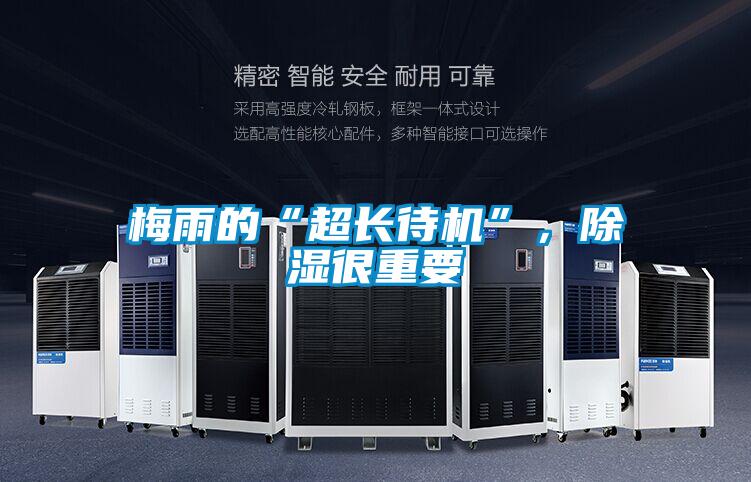 梅雨的“超長待機(jī)”，除濕很重要