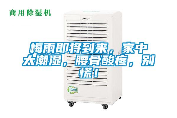 梅雨即將到來，家中太潮濕，腰骨酸疼，別慌！