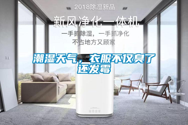 潮濕天氣，衣服不僅臭了還發(fā)霉