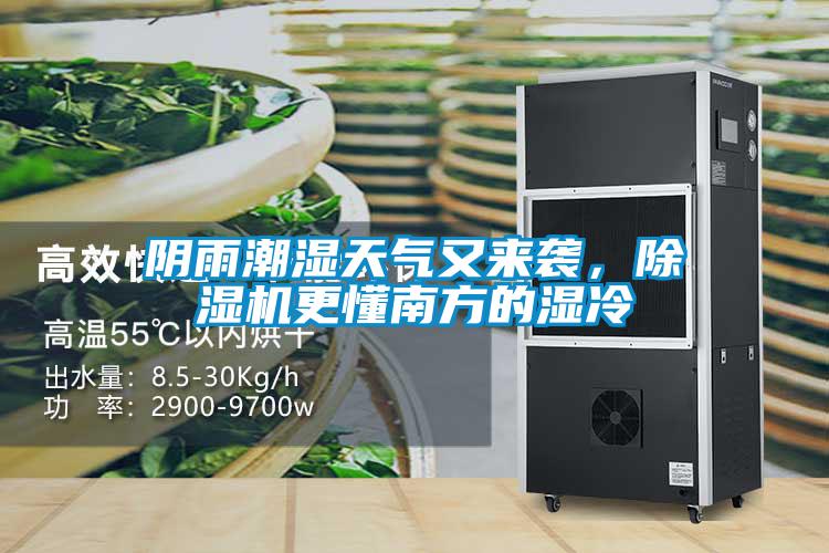 陰雨潮濕天氣又來襲，除濕機更懂南方的濕冷