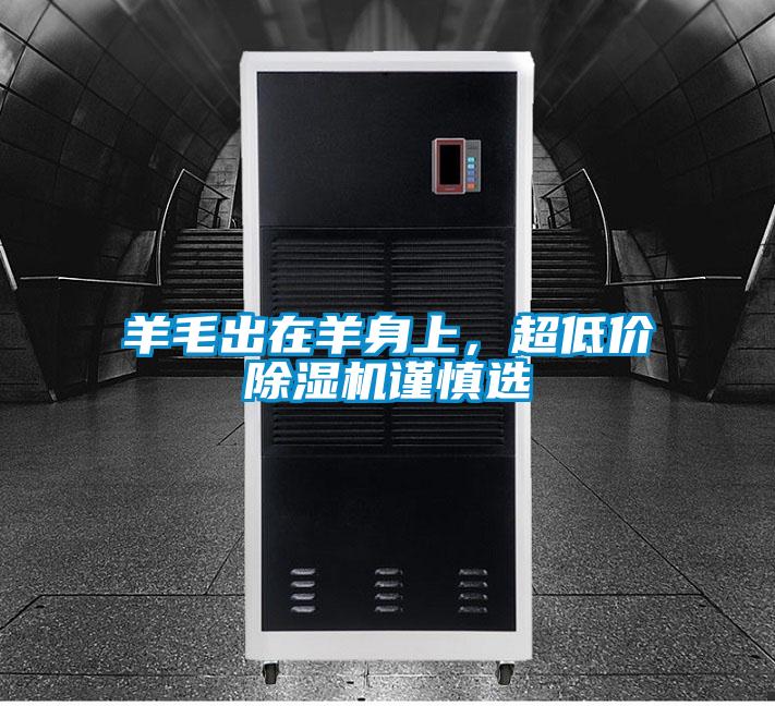 羊毛出在羊身上，超低價除濕機謹慎選