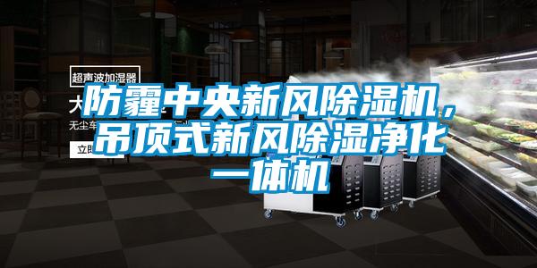 防霾中央新風(fēng)除濕機，吊頂式新風(fēng)除濕凈化一體機