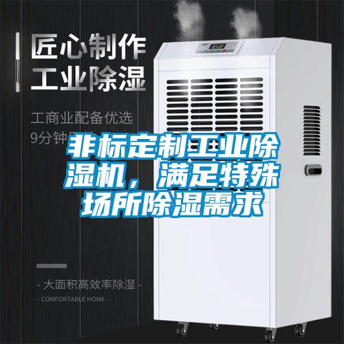 非標定制工業除濕機，滿足特殊場所除濕需求