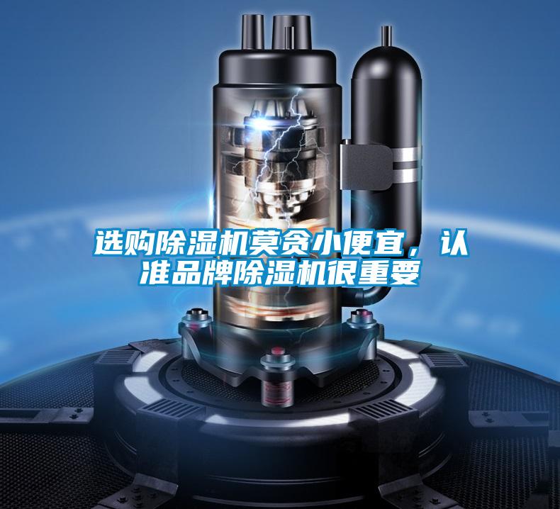 選購除濕機莫貪小便宜，認準品牌除濕機很重要
