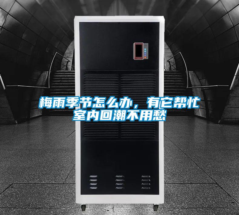 梅雨季節怎么辦，有它幫忙室內回潮不用愁