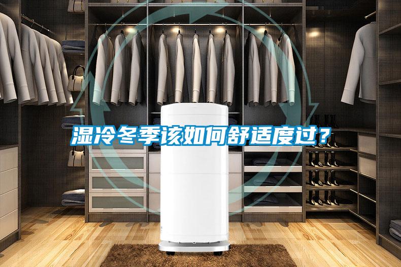 濕冷冬季該如何舒適度過(guò)？