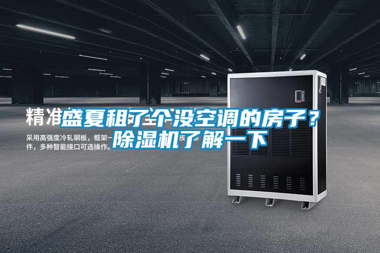 盛夏租了個沒空調的房子？除濕機了解一下