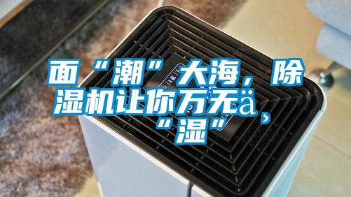 面“潮”大海，除濕機讓你萬無一“濕”