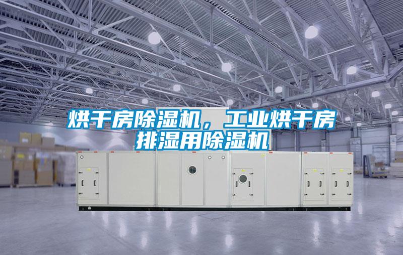 烘干房除濕機(jī)，工業(yè)烘干房排濕用除濕機(jī)
