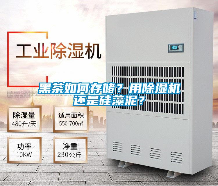 黑茶如何存儲(chǔ)？用除濕機(jī)還是硅藻泥？