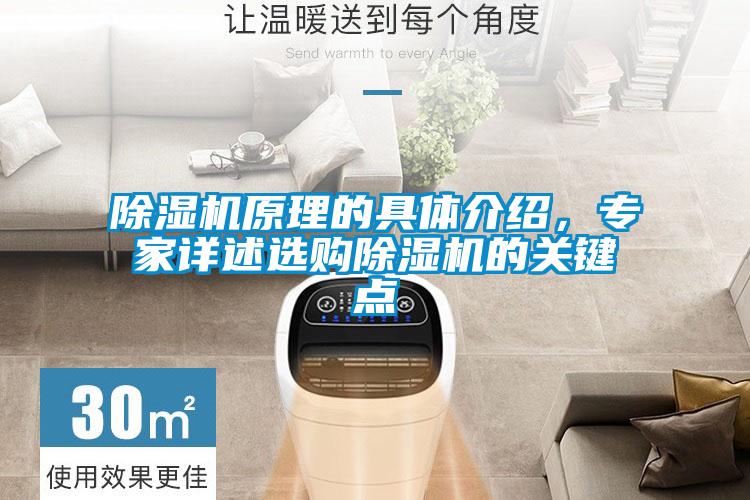 除濕機原理的具體介紹，專家詳述選購除濕機的關鍵點