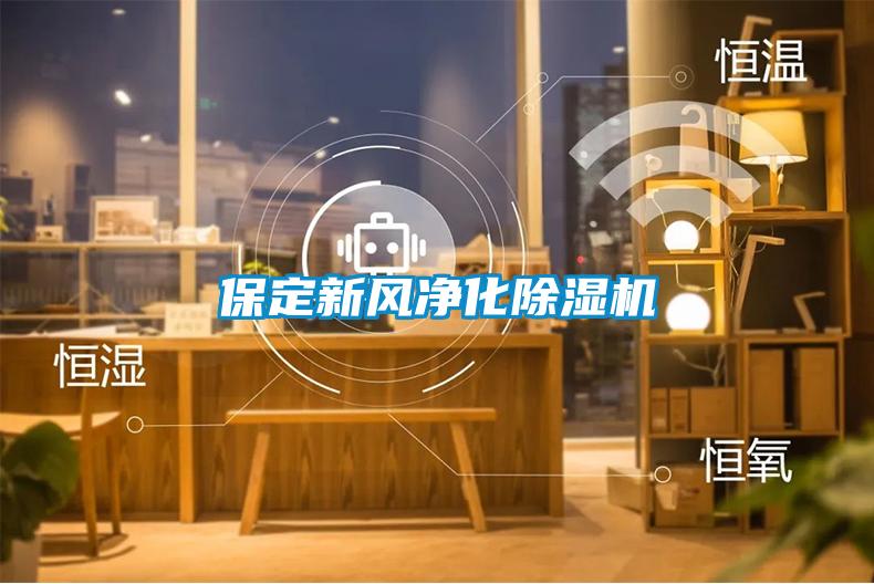 保定新風(fēng)凈化除濕機