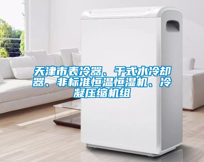 天津市表冷器、干式水冷卻器、非標準恒溫恒濕機、冷凝壓縮機組