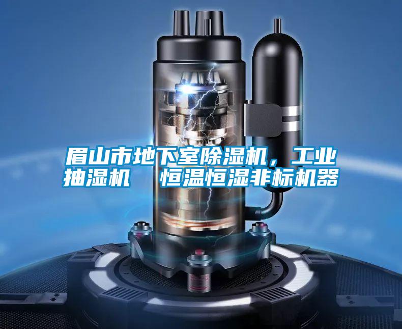 眉山市地下室除濕機(jī)，工業(yè)抽濕機(jī)  恒溫恒濕非標(biāo)機(jī)器