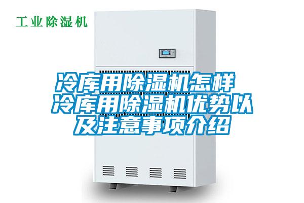 冷庫用除濕機(jī)怎樣 冷庫用除濕機(jī)優(yōu)勢以及注意事項(xiàng)介紹