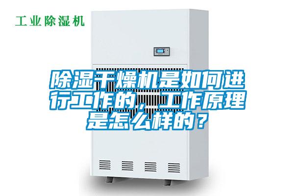 除濕干燥機是如何進行工作的，工作原理是怎么樣的？