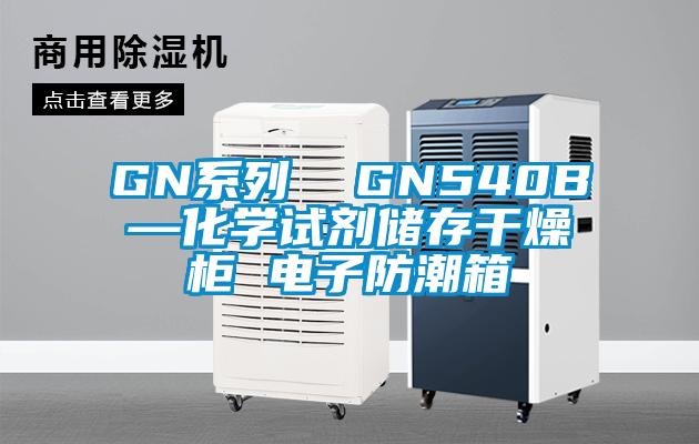 GN系列  GN540B—化學(xué)試劑儲(chǔ)存干燥柜 電子防潮箱