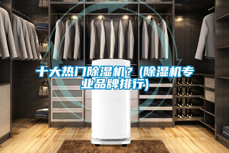 十大熱門除濕機？(除濕機專業品牌排行)