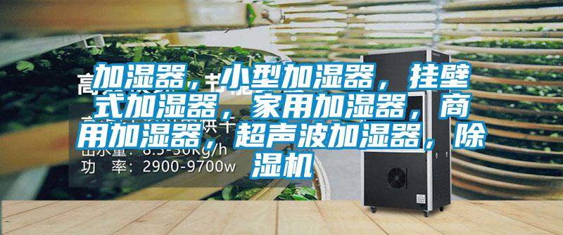 加濕器，小型加濕器，掛壁式加濕器，家用加濕器，商用加濕器，超聲波加濕器，除濕機