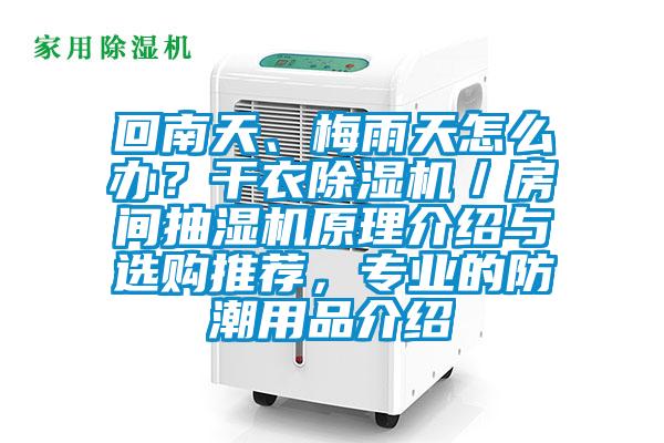 回南天、梅雨天怎么辦？干衣除濕機／房間抽濕機原理介紹與選購推薦，專業的防潮用品介紹