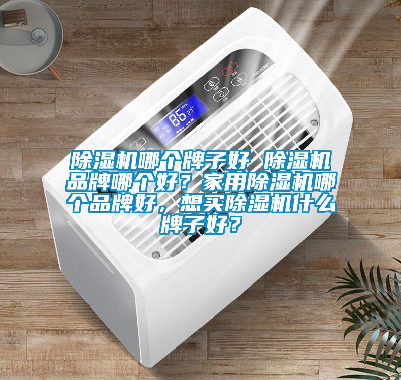 除濕機哪個牌子好 除濕機品牌哪個好？家用除濕機哪個品牌好，想買除濕機什么牌子好？