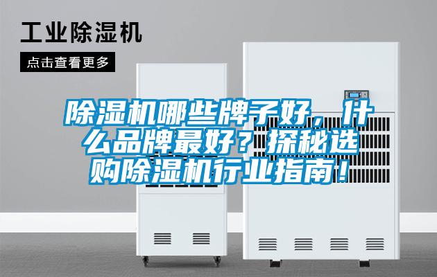 除濕機(jī)哪些牌子好，什么品牌最好？探秘選購除濕機(jī)行業(yè)指南！