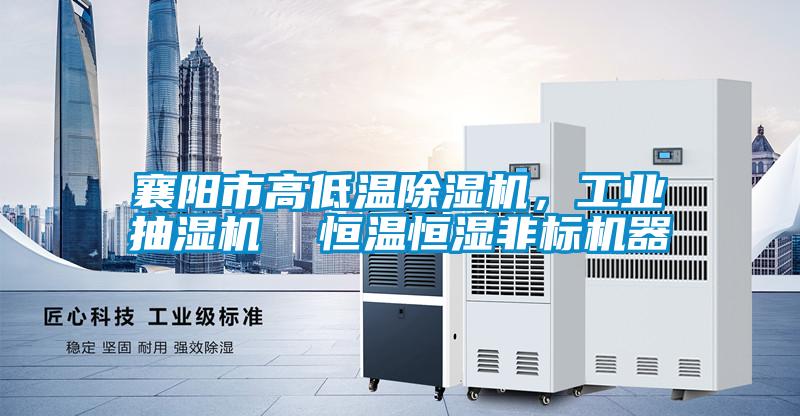 襄陽市高低溫除濕機(jī)，工業(yè)抽濕機(jī)  恒溫恒濕非標(biāo)機(jī)器