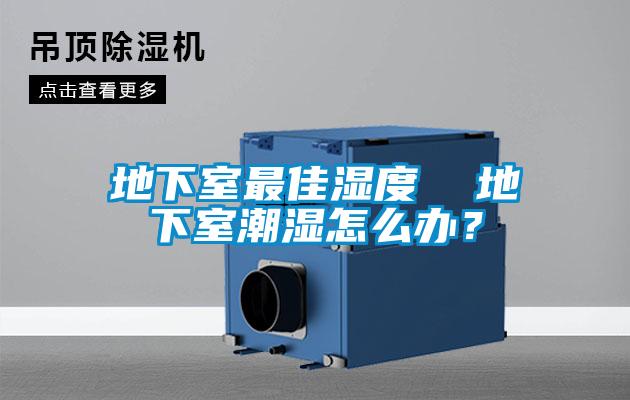 地下室最佳濕度  地下室潮濕怎么辦？