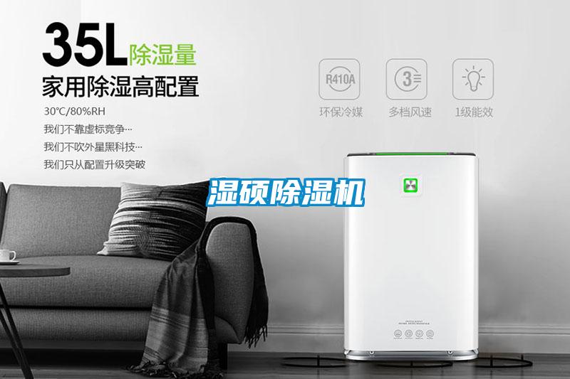 濕碩除濕機(jī)