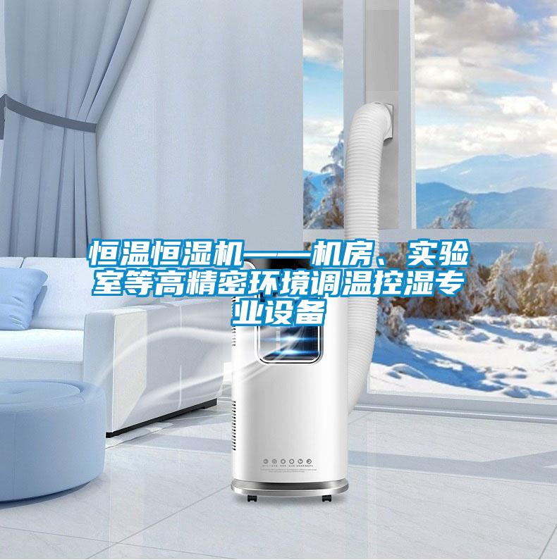 恒溫恒濕機——機房、實驗室等高精密環(huán)境調(diào)溫控濕專業(yè)設(shè)備