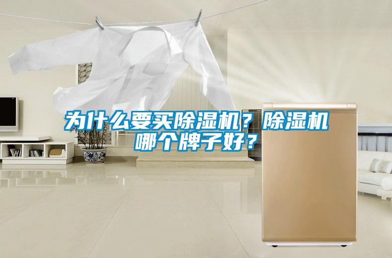 為什么要買除濕機?除濕機哪個牌子好?
