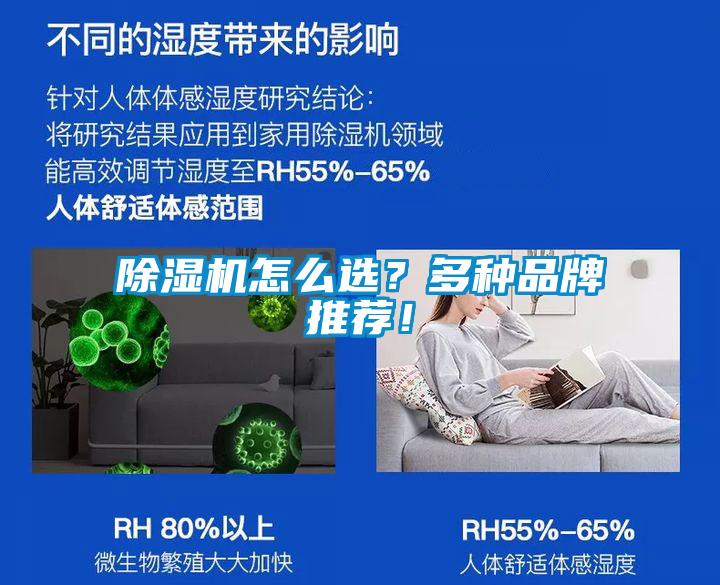 除濕機怎么選？多種品牌推薦！