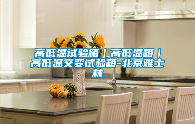 高低溫試驗箱|高低溫箱|高低溫交變試驗箱-北京雅士林