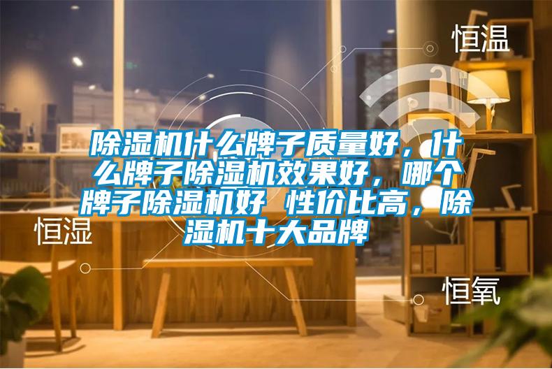 除濕機(jī)什么牌子質(zhì)量好，什么牌子除濕機(jī)效果好，哪個(gè)牌子除濕機(jī)好 性價(jià)比高，除濕機(jī)十大品牌