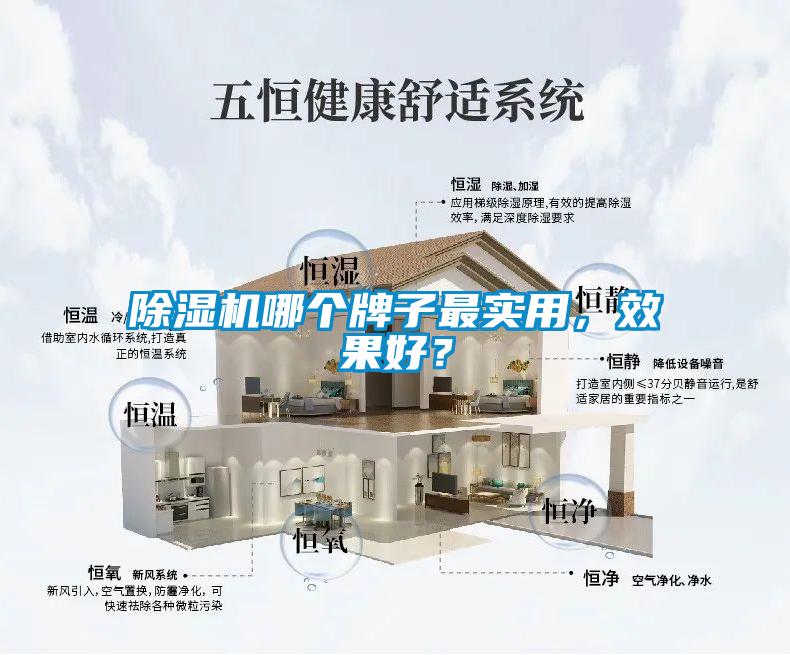 除濕機哪個牌子最實用，效果好？