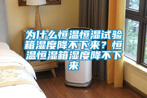 為什么恒溫恒濕試驗(yàn)箱濕度降不下來？恒溫恒濕箱濕度降不下來