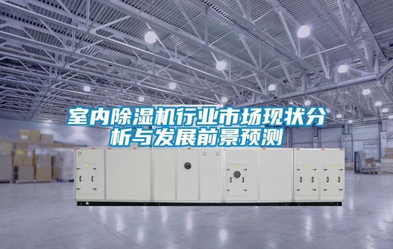 室內(nèi)除濕機行業(yè)市場現(xiàn)狀分析與發(fā)展前景預測
