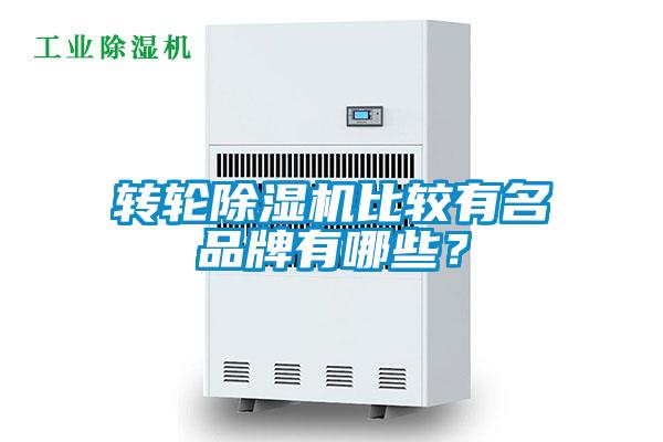 轉(zhuǎn)輪除濕機比較有名品牌有哪些？