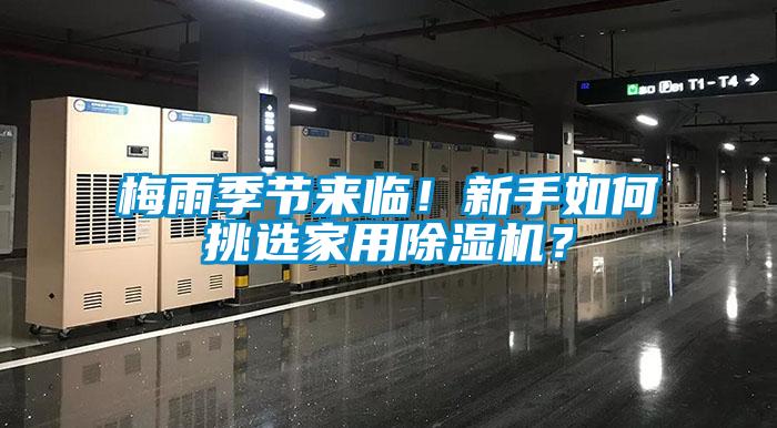 梅雨季節來臨！新手如何挑選家用除濕機？