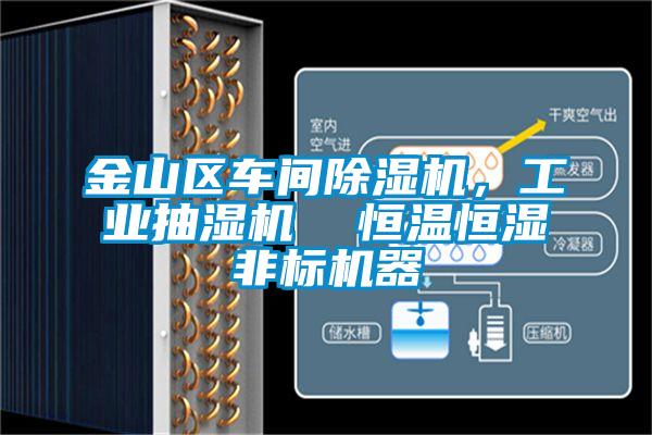 金山區(qū)車間除濕機,工業(yè)抽濕機 恒溫恒濕非標機器